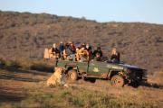 Garden Route & Safari - South Africa